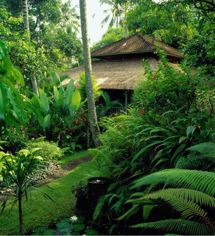 Taman Bebek Bali Hotell Ubud Eksteriør bilde
