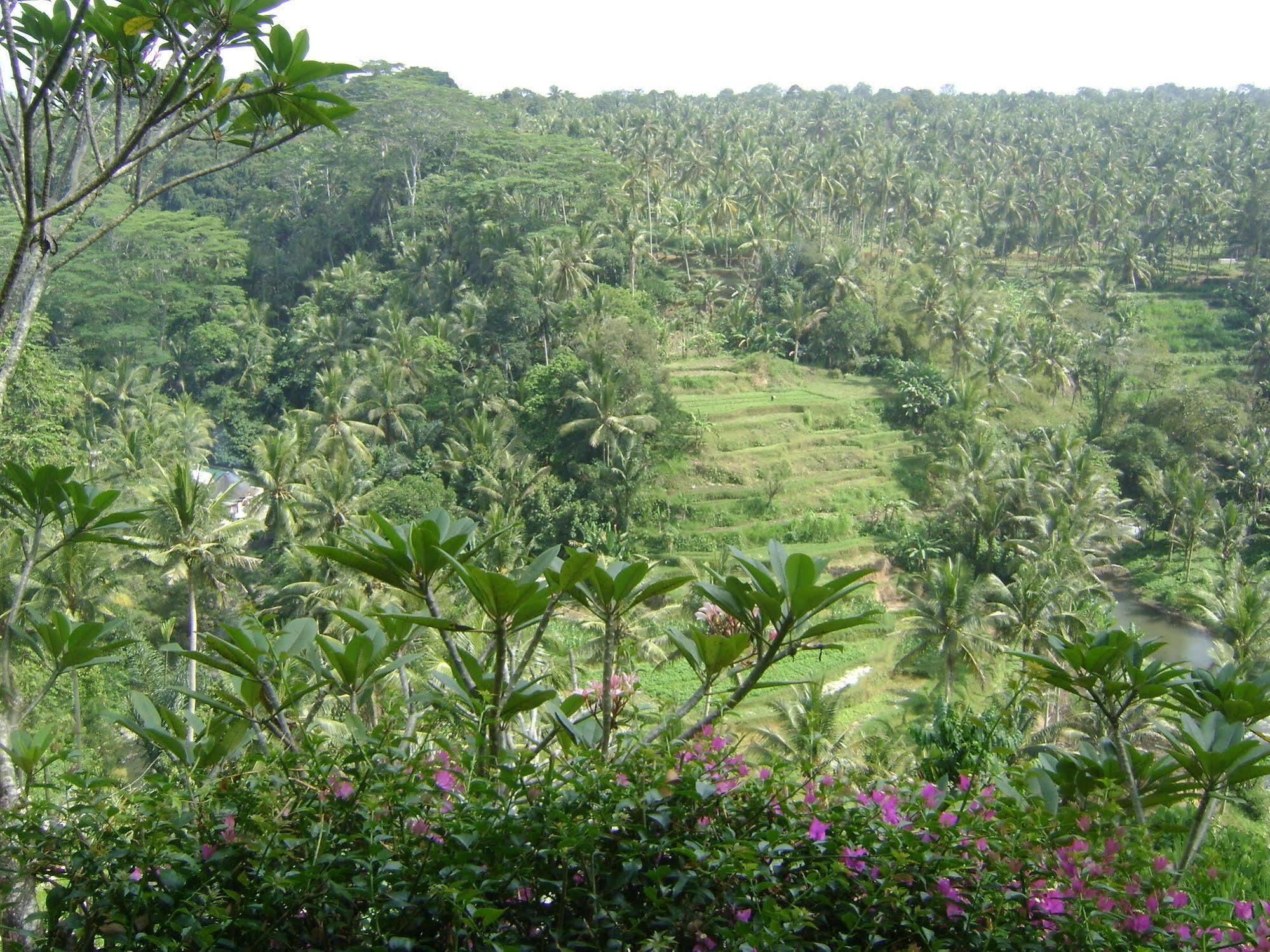 Taman Bebek Bali Hotell Ubud Eksteriør bilde