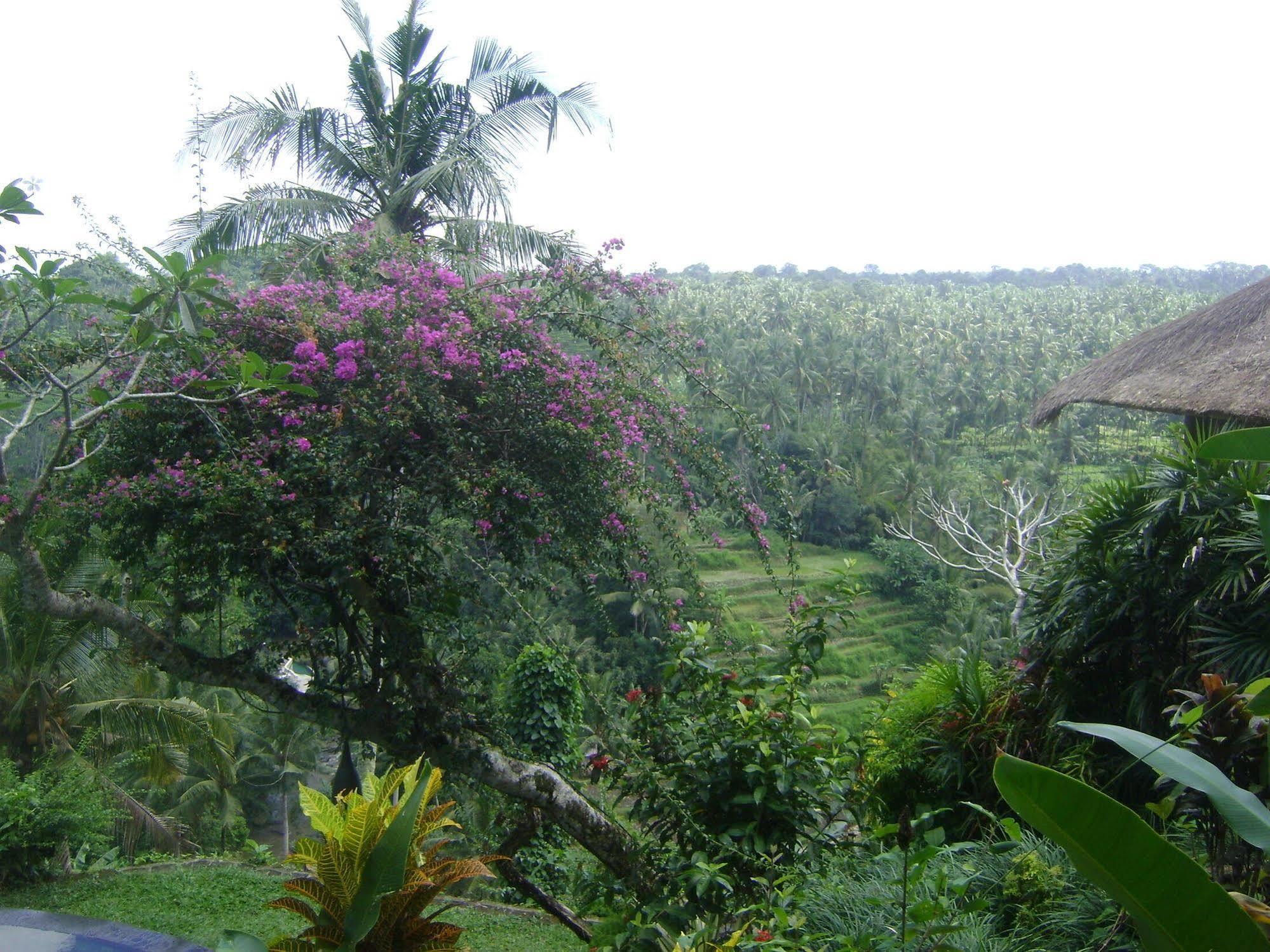 Taman Bebek Bali Hotell Ubud Eksteriør bilde