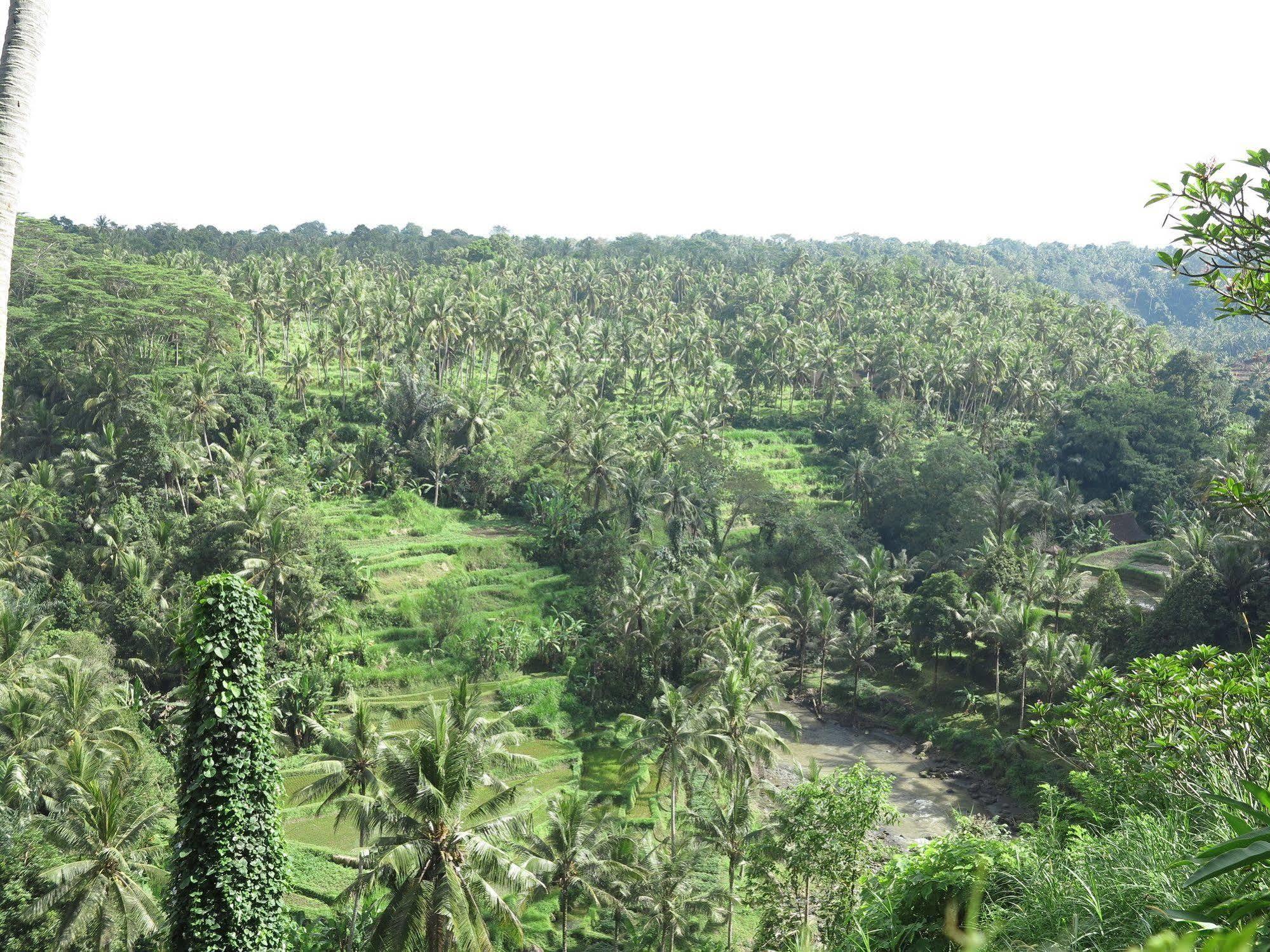 Taman Bebek Bali Hotell Ubud Eksteriør bilde